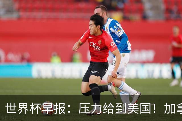 世界杯早报：压力给到美国！加拿大1-1波黑 本届东道主依旧不败
